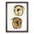 Walnut Framed selected