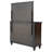 Guanciale 8-drawer Dresser And Mirror Dark Oak