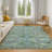 Premium Machine Washable Alaina AMF1929 Global Rug-1586929892