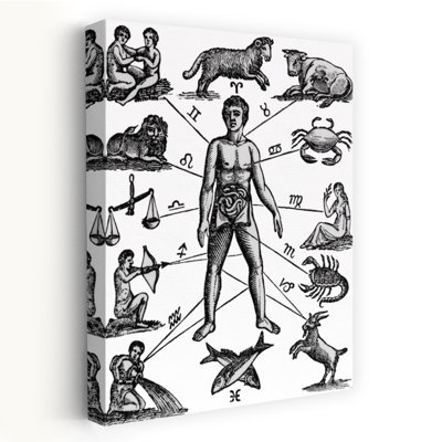 ZODIAC MAN DRAWING RELATING ASTROLOGY MOON SIGNS TO VARIOUS PARTS OF MALE ANATOMY USED IN ANCIENT MEDICINE by H. Armstrong Roberts - Wrapped Canvas Print