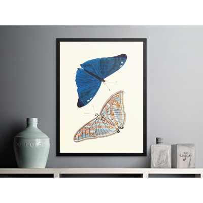 Beaulieu Print