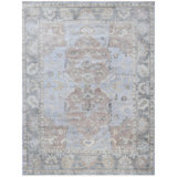 Wool Oriental Area Rug in Light Blue And Grey