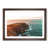 Walnut Framed selected