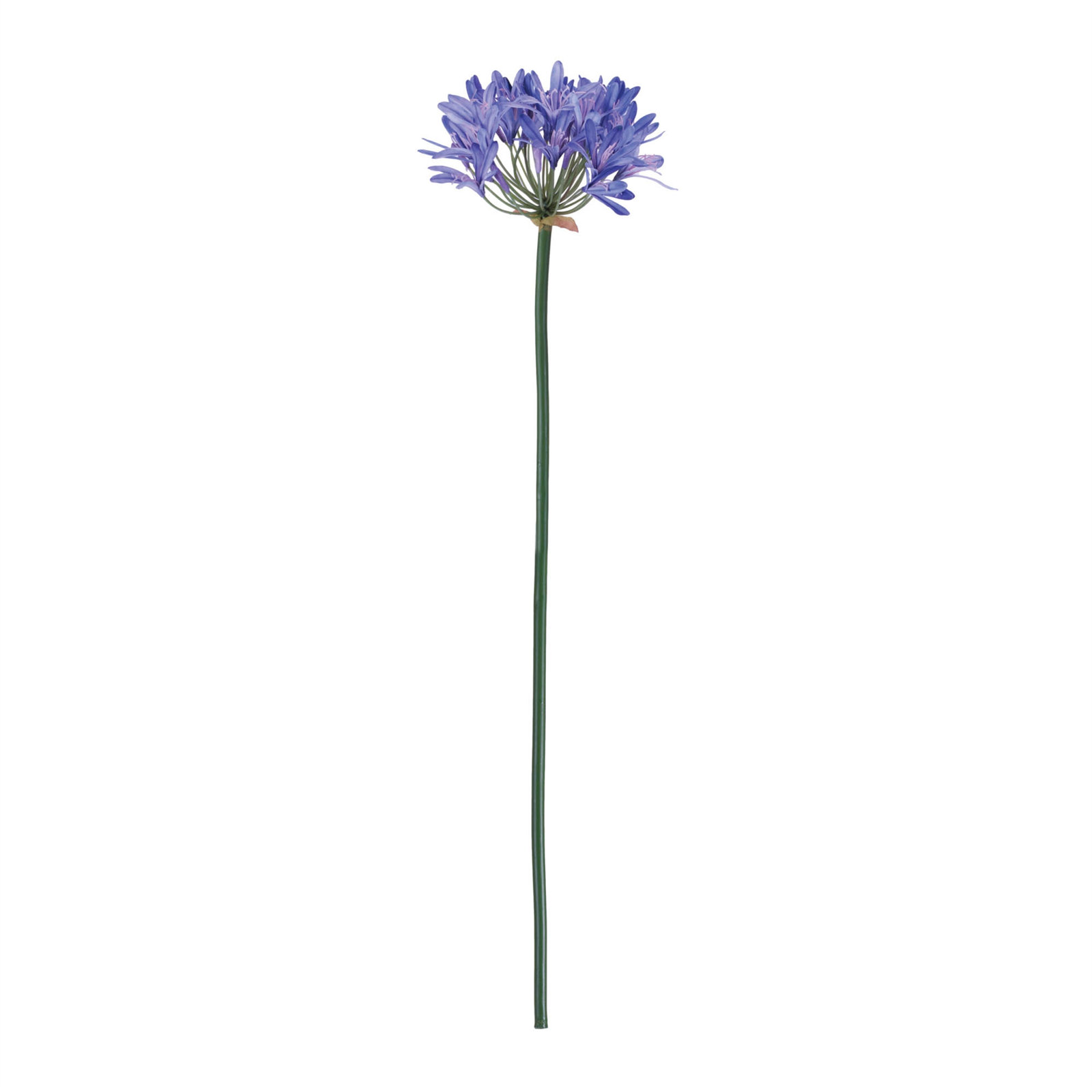 Agapanthus Flower Stem (Set of 2), Green, Purple, Pink