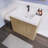 Lisel 36'' Single Bathroom Vanity with Acrylic Top-734351883