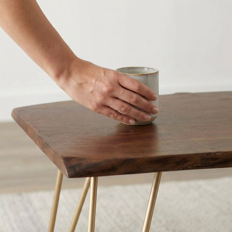 Jacora Solid Wood Top Single Coffee Table, Elm/Gold