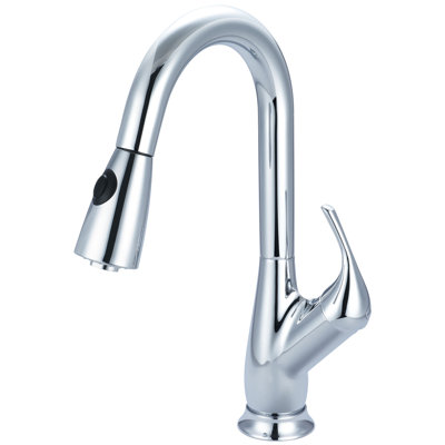 Pioneer Legacy Pull Down Kitchen Faucet