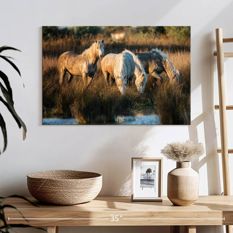Ronce les chevaux blancs de Camargue VII, H 16 po x l 24 po