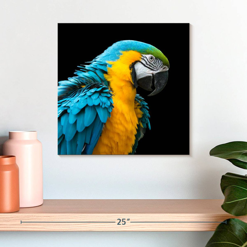 Crowle Charming Macaw, 16" H x 16" W
