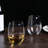 18 oz. Fish Stemless Wine Glass
