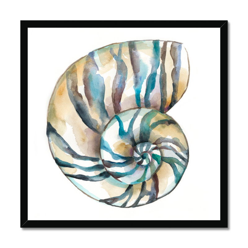 Aquarelle Shells II by Chariklia Zarris - Painting, Black Framed Paper Print, 55cm H x 55cm W
