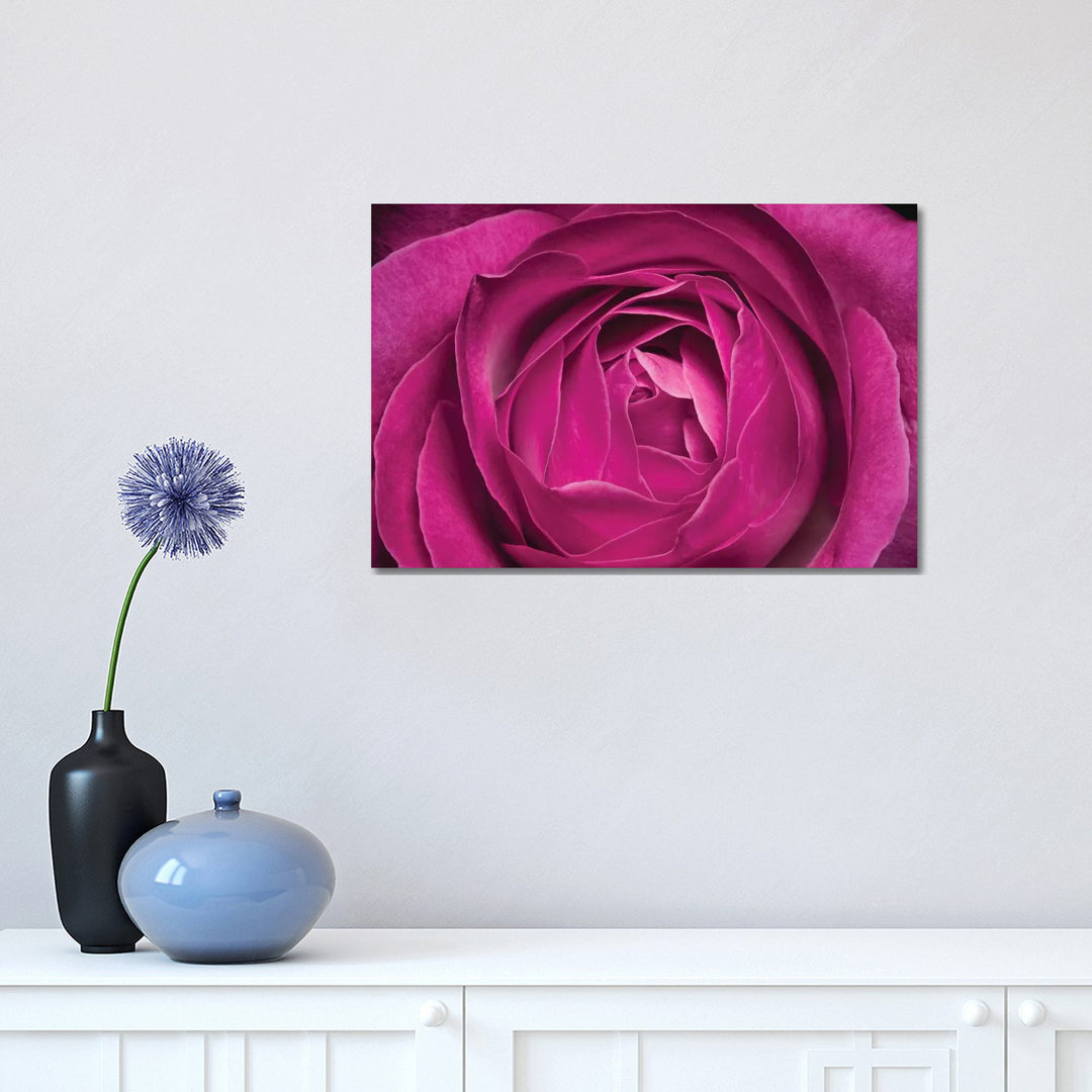 Rose by Glauco Meneghelli - Wrapped Canvas Photograph