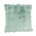 Menthe