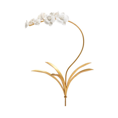 Tulip Orchid Stem