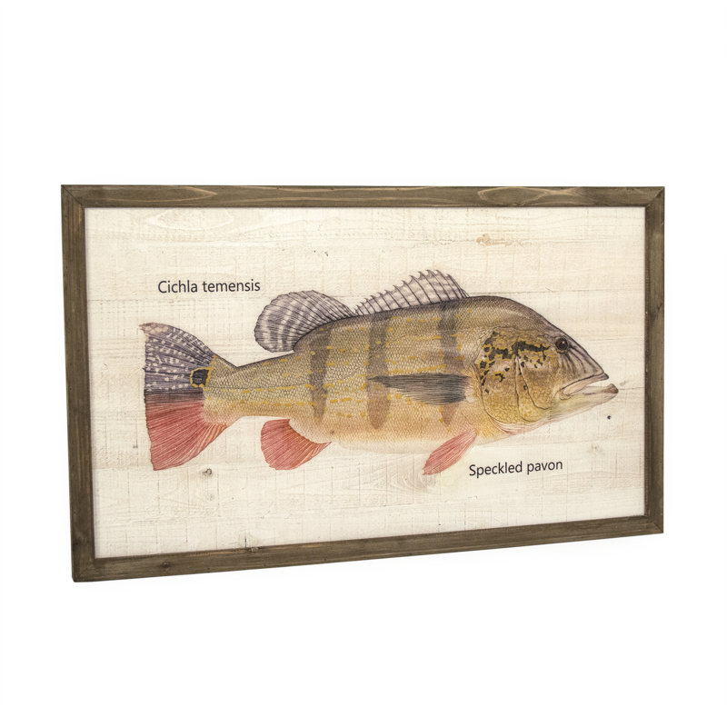 Speckled Pavon Print, 23.5" H x 39.5" W x 1.5" D
