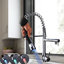 Belfry Kitchen Ferryhill Pull Down Kitchen Faucet