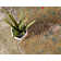Trona Washable Abstract Indoor / Outdoor Rug