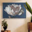 White Peony - reproduction sur toile avec cadre flottant-93410807-93410806