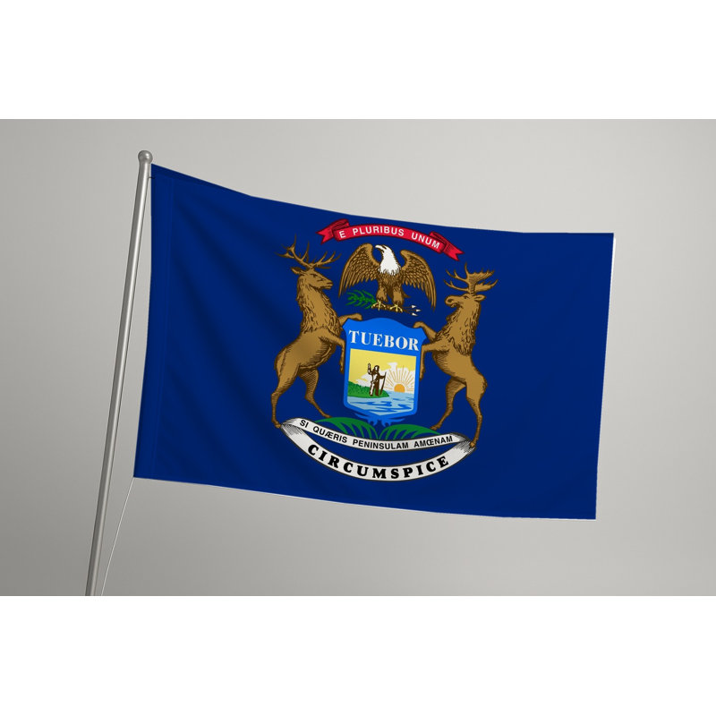 Drapeau de l'État du Michigan — Drapeau extérieur, H 24 po x l 36 po