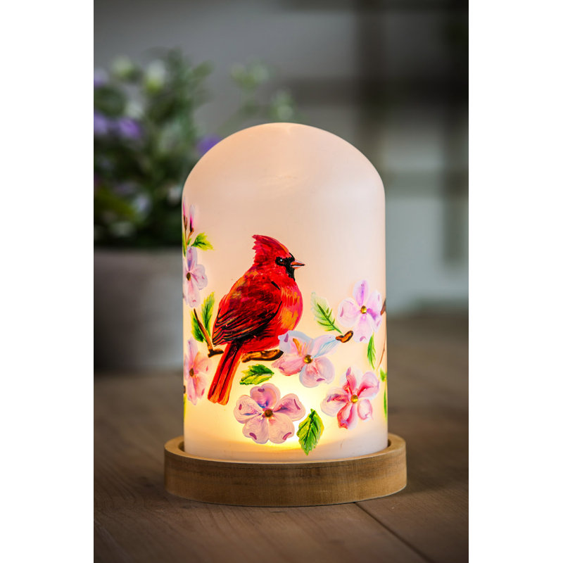 Lumière del Tollison