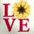 Love Sunflower selected
