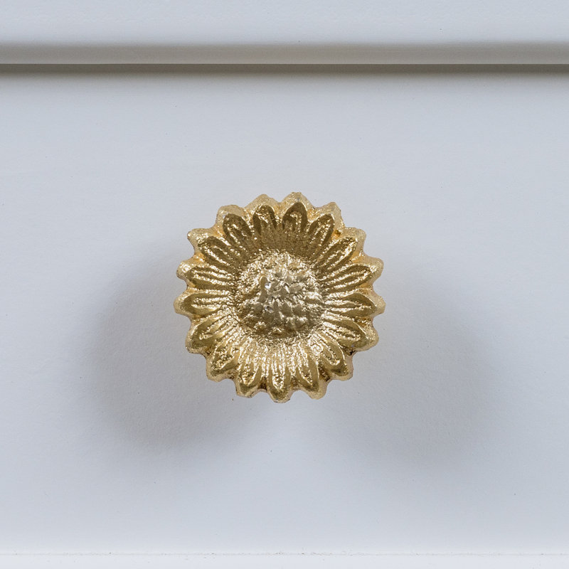 Alfredrick 40mm Novelty Knob
