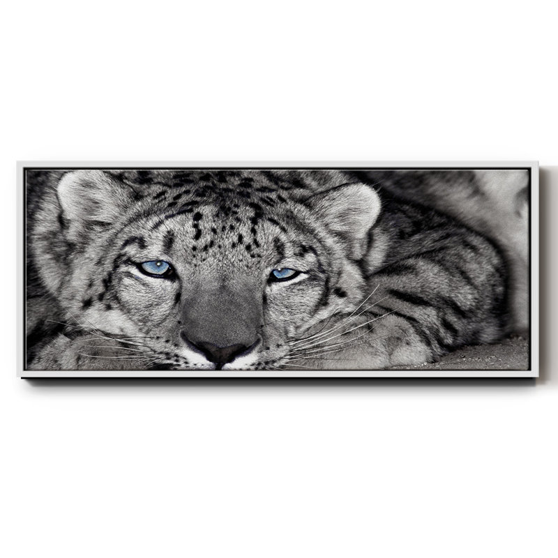Snow Leopard Sanctuary- Framed Canvas