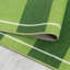 Gillies Flatweave Green Rug-1395384839