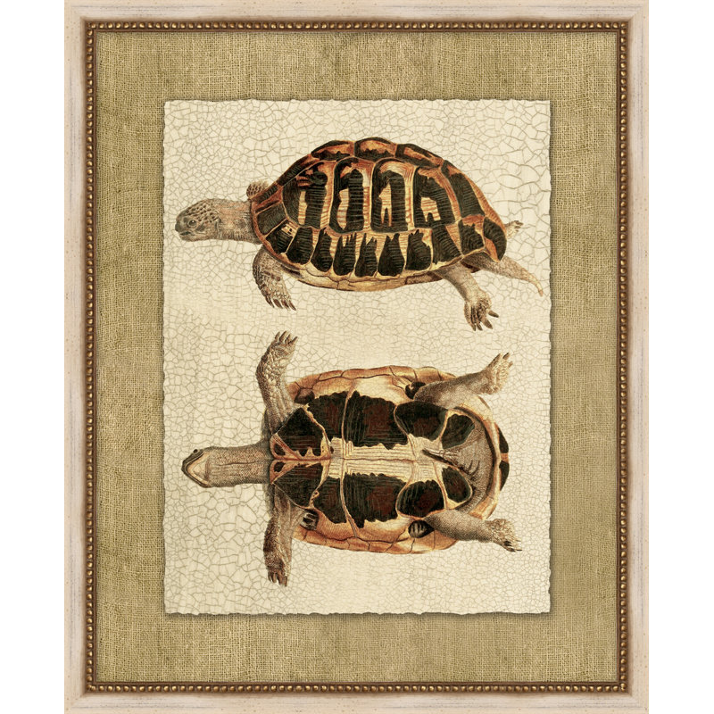 Neutral Turtle 3 Painting