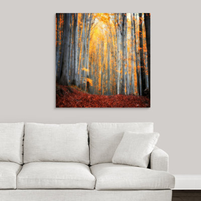 " Here Comes The Sun " by Philippe Sainte-Laudy