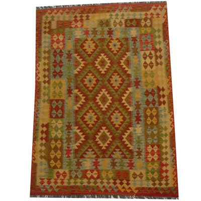 Azpeitia Wool Southwestern Indoor Rug