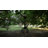 10'' Solar Powered Integrated LED Outdoor Hanging Light