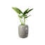 Pure Beads Pot Planter-48811436-48811440