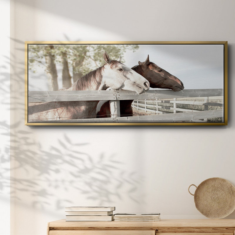 Friendly Visit- Framed Canvas, 24" H x 60" W