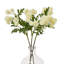 Arrangement-111171157