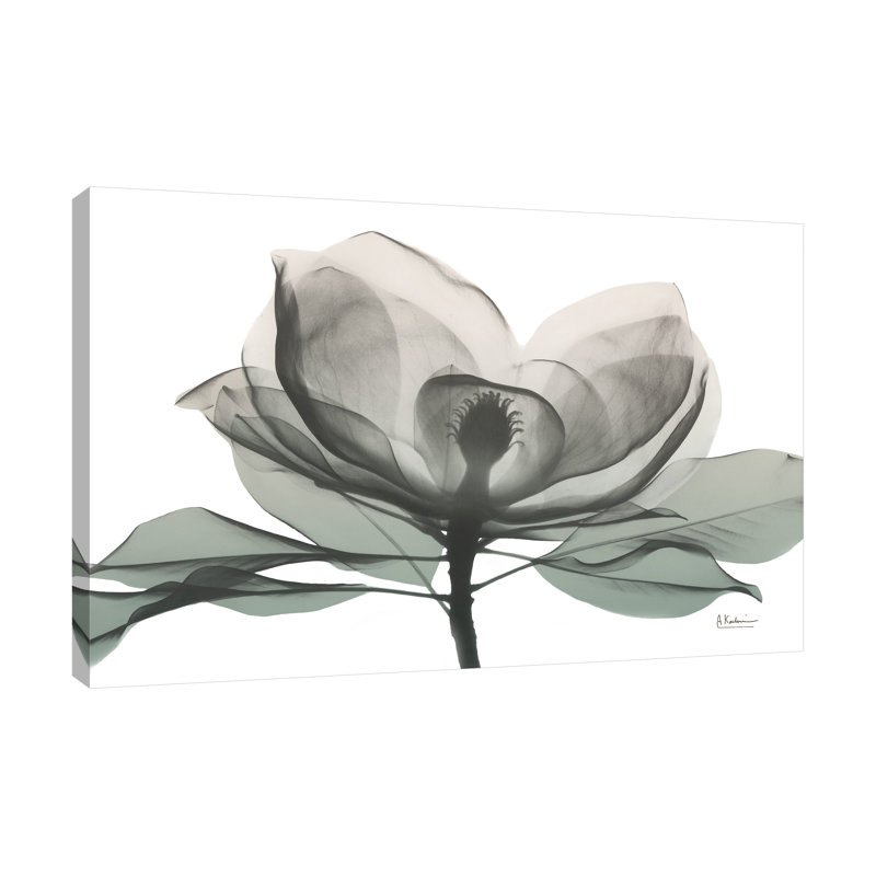 "Sage Magnolia 1", toile tendue par Albert Koetsier, H 36 po x l 48 po x P 1,5 po
