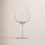 Vervino Lead Free Crystal Red Wine Glass-1606380138