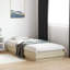 Pasol Bed-933228858-933228857