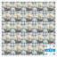 P 12 "x L 12" Peler et coller