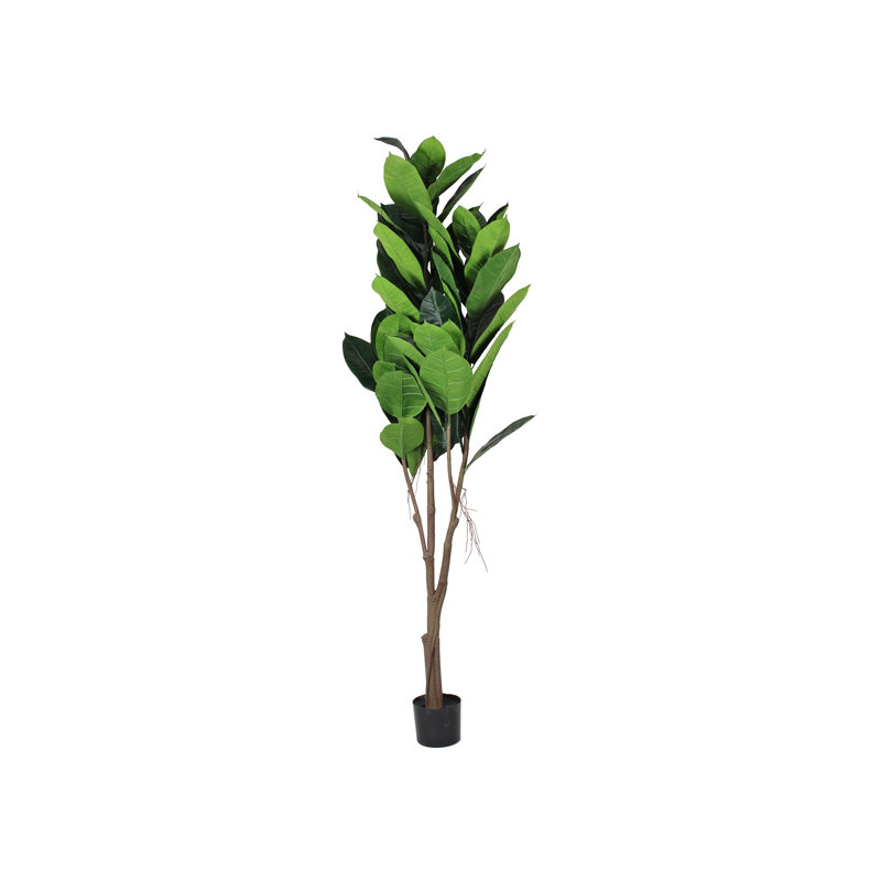 180cm Plant