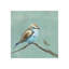 Baby Bird III Painting by Beverly Fuller-26928968-26928974