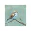 Baby Bird III Painting by Beverly Fuller-26928971-26928968
