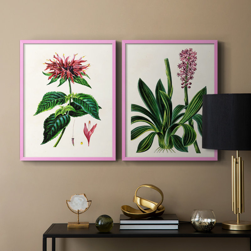 AntiqueFloralFolioI - reproduction encadrée de qualité supérieure - prête à être accrochée - aucun clou requis - aucun clou requis