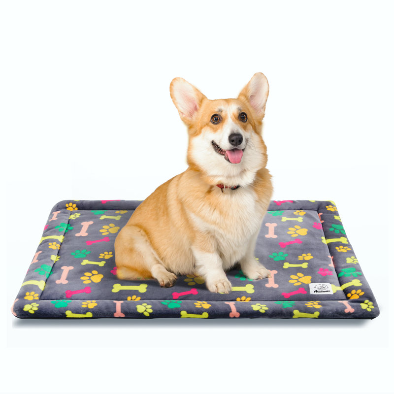Adorable tapis pour animal en flanelle polaire Alice, Petit (l 32 po x P 24 po x H 1,5 po)