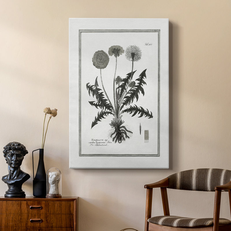 Dandelion II -Custom Wrapped Gallery Cavas, 18" H x 12" W