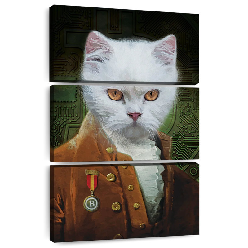 Ketti Cat In Clothes