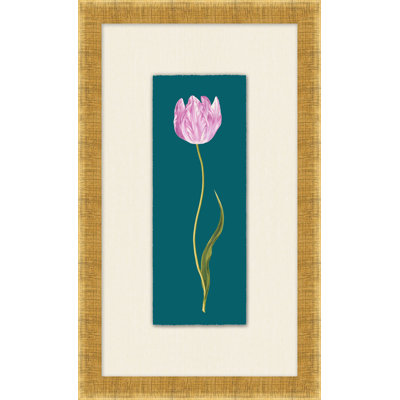 Tulipe Gesneriana 4