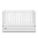 Teddi 5-in-1 Convertible Crib with Storage