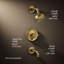 Purist® Rite-Tub and Shower Faucet-96140167-96140165