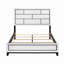 Lit 1Pc-341072302-341072303